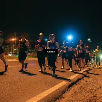 Runner Photo 4465607