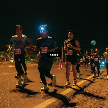 Runner Photo 4465672