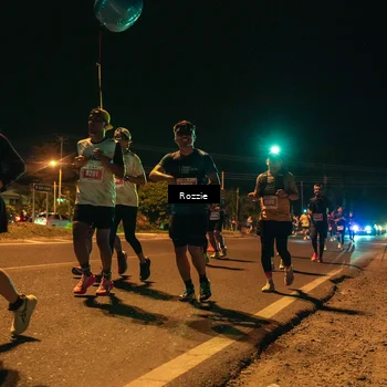 Runner Photo 4466030