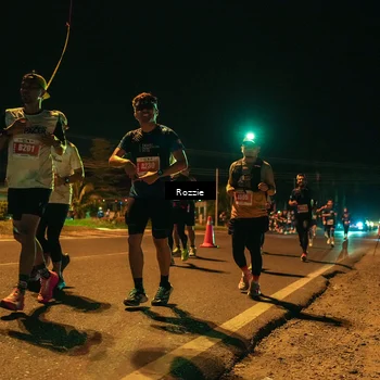 Runner Photo 4466053