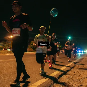 Runner Photo 4466054