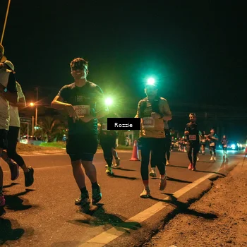 Runner Photo 4466070