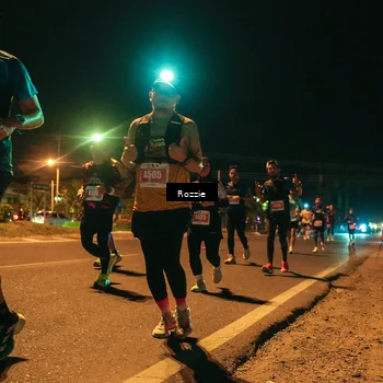 Runner Photo 4466088
