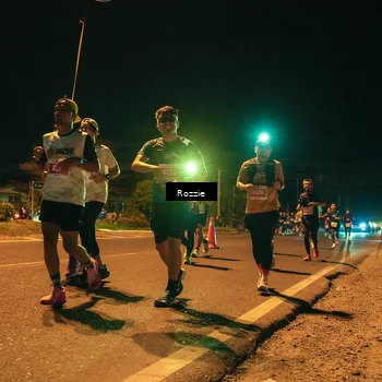 Runner Photo 4466090