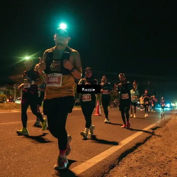 Runner Photo 4466103