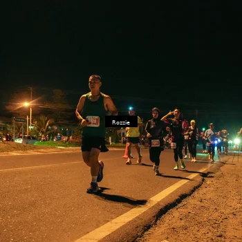 Runner Photo 4466237