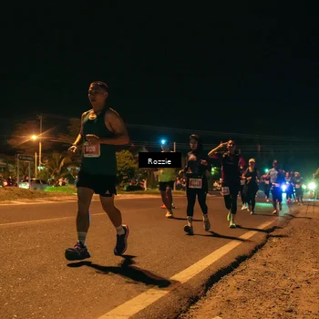 Runner Photo 4466266