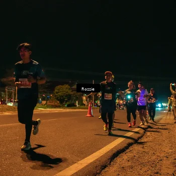Runner Photo 4466387