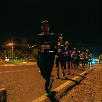 Runner Photo 4466519
