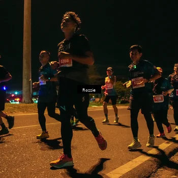 Runner Photo 4466663