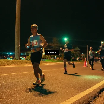 Runner Photo 4466962