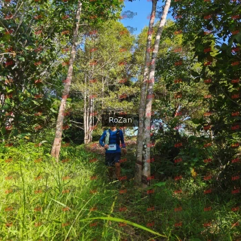 Runner Photo 4467