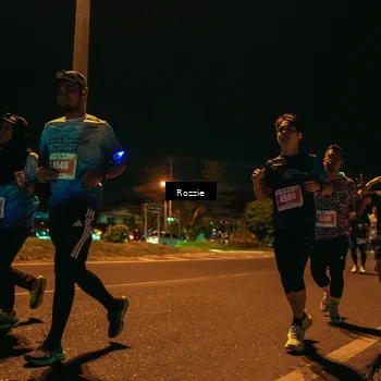 Runner Photo 4467325