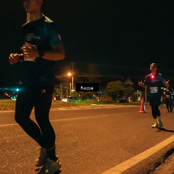 Runner Photo 4467691