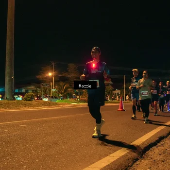 Runner Photo 4467720