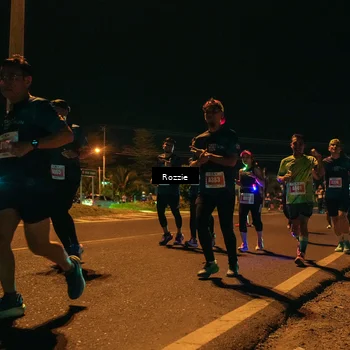 Runner Photo 4467763
