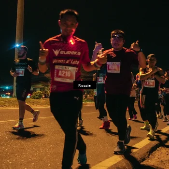 Runner Photo 4468694