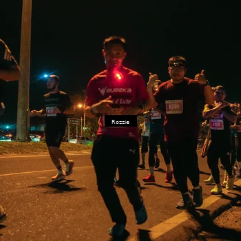 Runner Photo 4468811