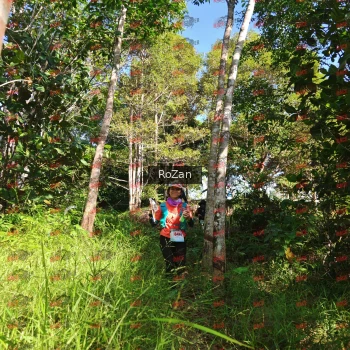Runner Photo 4469