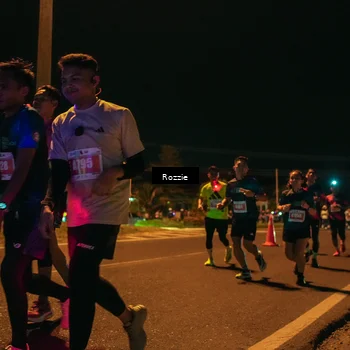 Runner Photo 4469111
