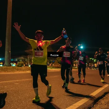 Runner Photo 4469159