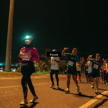 Runner Photo 4469522