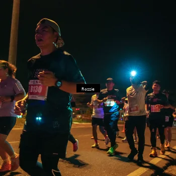 Runner Photo 4469804