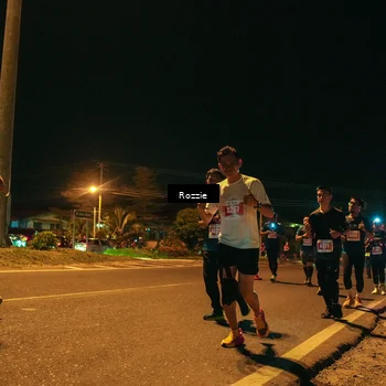 Runner Photo 4470031