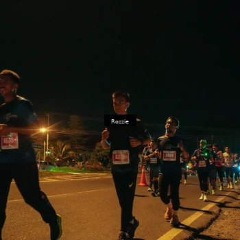 Runner Photo 4470067