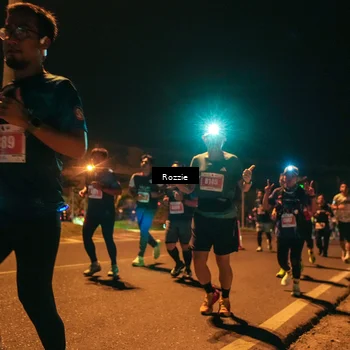 Runner Photo 4470080