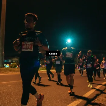 Runner Photo 4470146