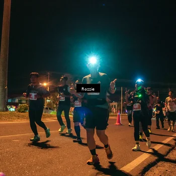 Runner Photo 4470163