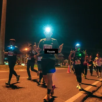 Runner Photo 4470204