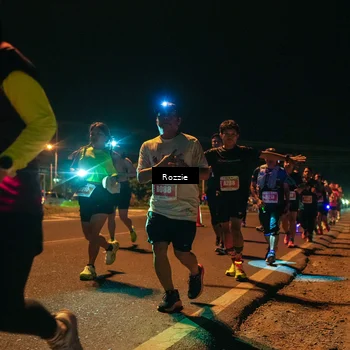 Runner Photo 4470334