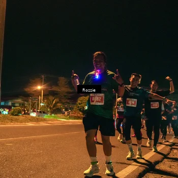 Runner Photo 4470658