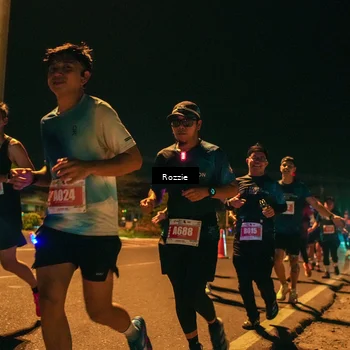Runner Photo 4470751