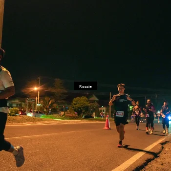 Runner Photo 4471154