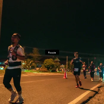 Runner Photo 4471182