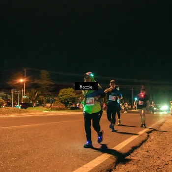Runner Photo 4471498