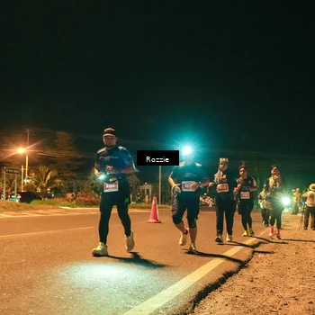 Runner Photo 4471507