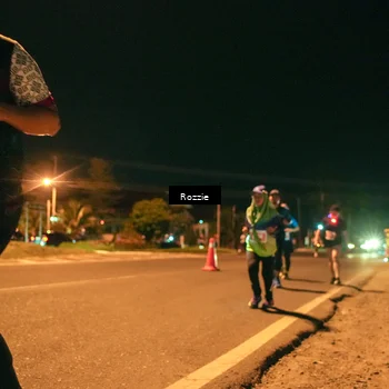 Runner Photo 4471526