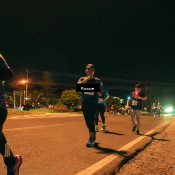Runner Photo 4471648