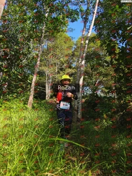 Runner Photo 4472