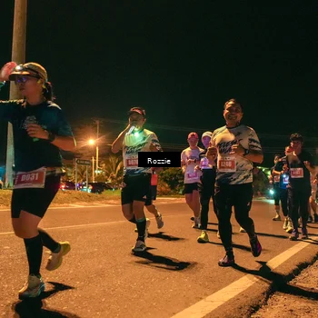Runner Photo 4472498