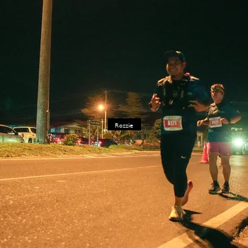Runner Photo 4474526