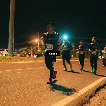 Runner Photo 4474745