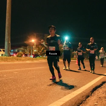 Runner Photo 4474752