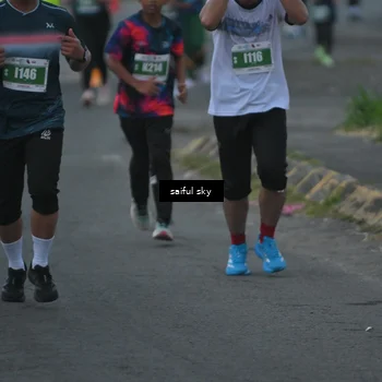 Runner Photo 4474875