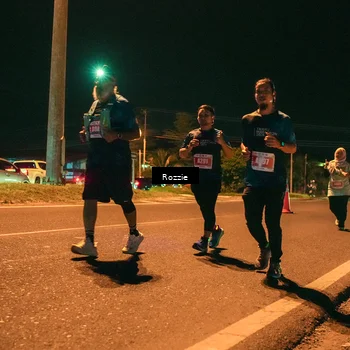 Runner Photo 4475060