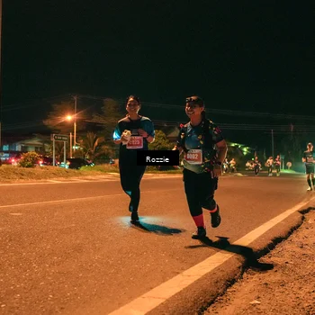 Runner Photo 4475261
